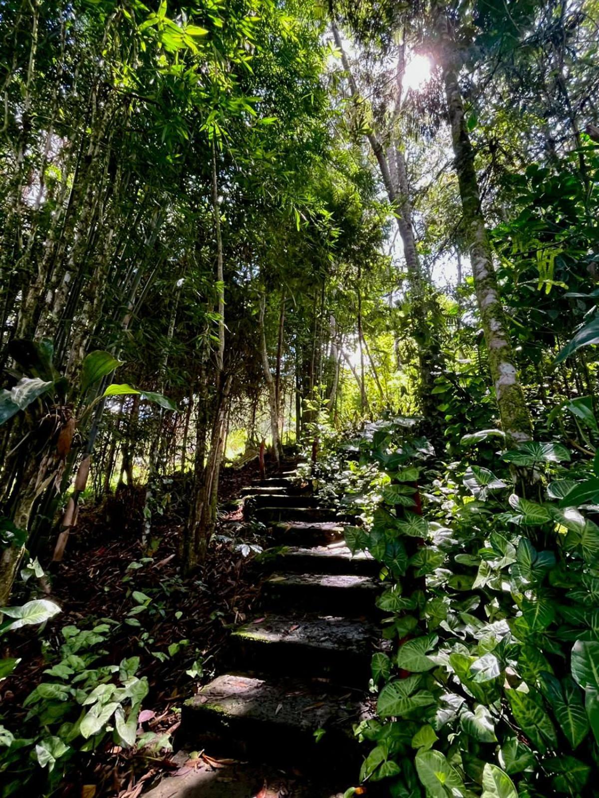 Refugio De Orquideas Villa Оксапампа Екстериор снимка