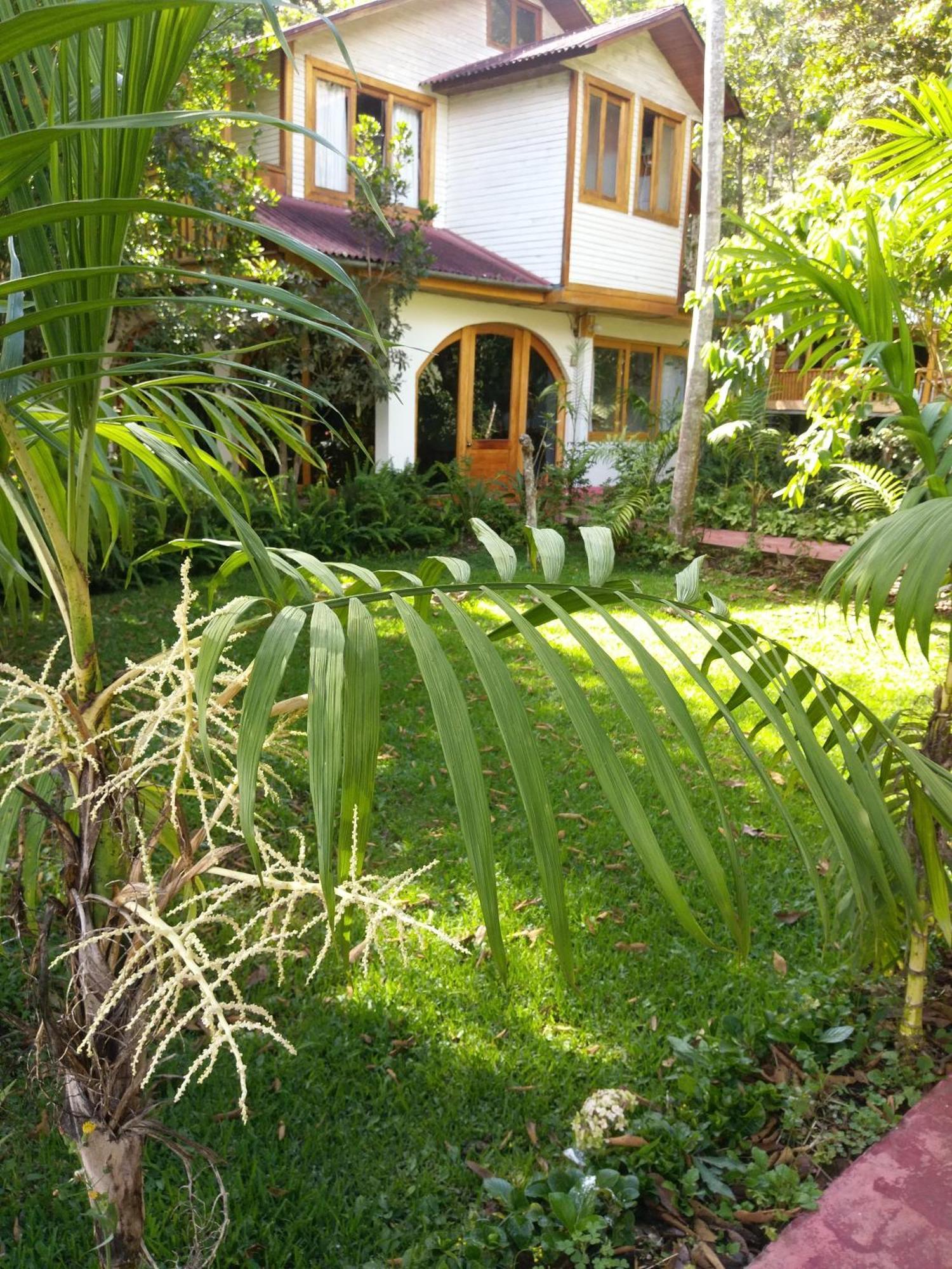 Refugio De Orquideas Villa Оксапампа Екстериор снимка