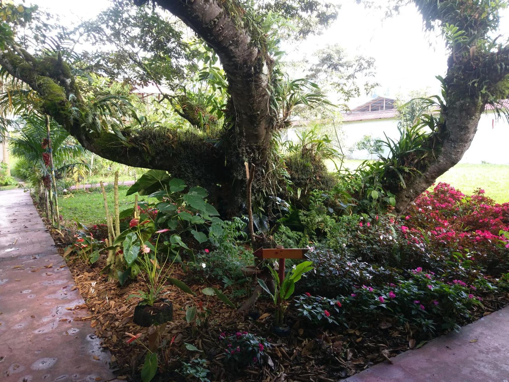 Refugio De Orquideas Villa Оксапампа Екстериор снимка