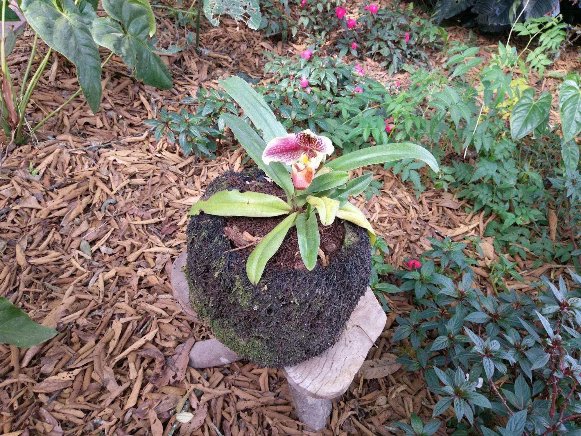 Refugio De Orquideas Villa Оксапампа Екстериор снимка