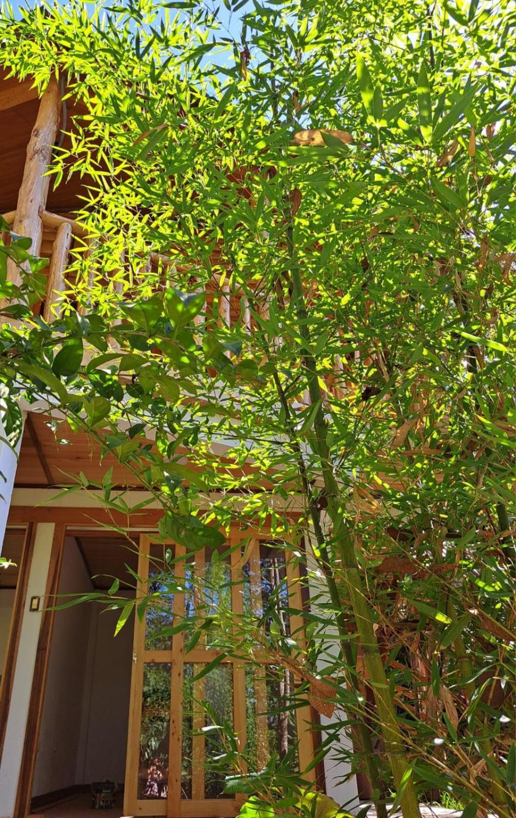 Refugio De Orquideas Villa Оксапампа Екстериор снимка