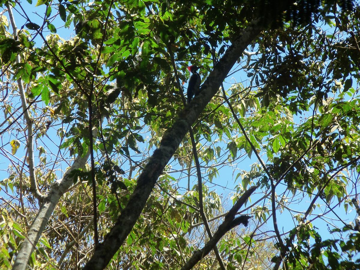 Refugio De Orquideas Villa Оксапампа Екстериор снимка