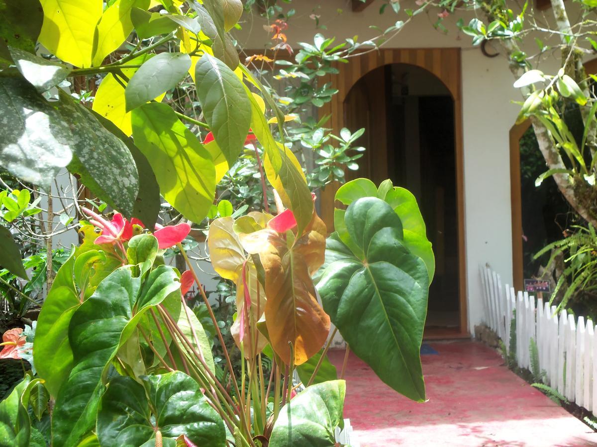 Refugio De Orquideas Villa Оксапампа Екстериор снимка