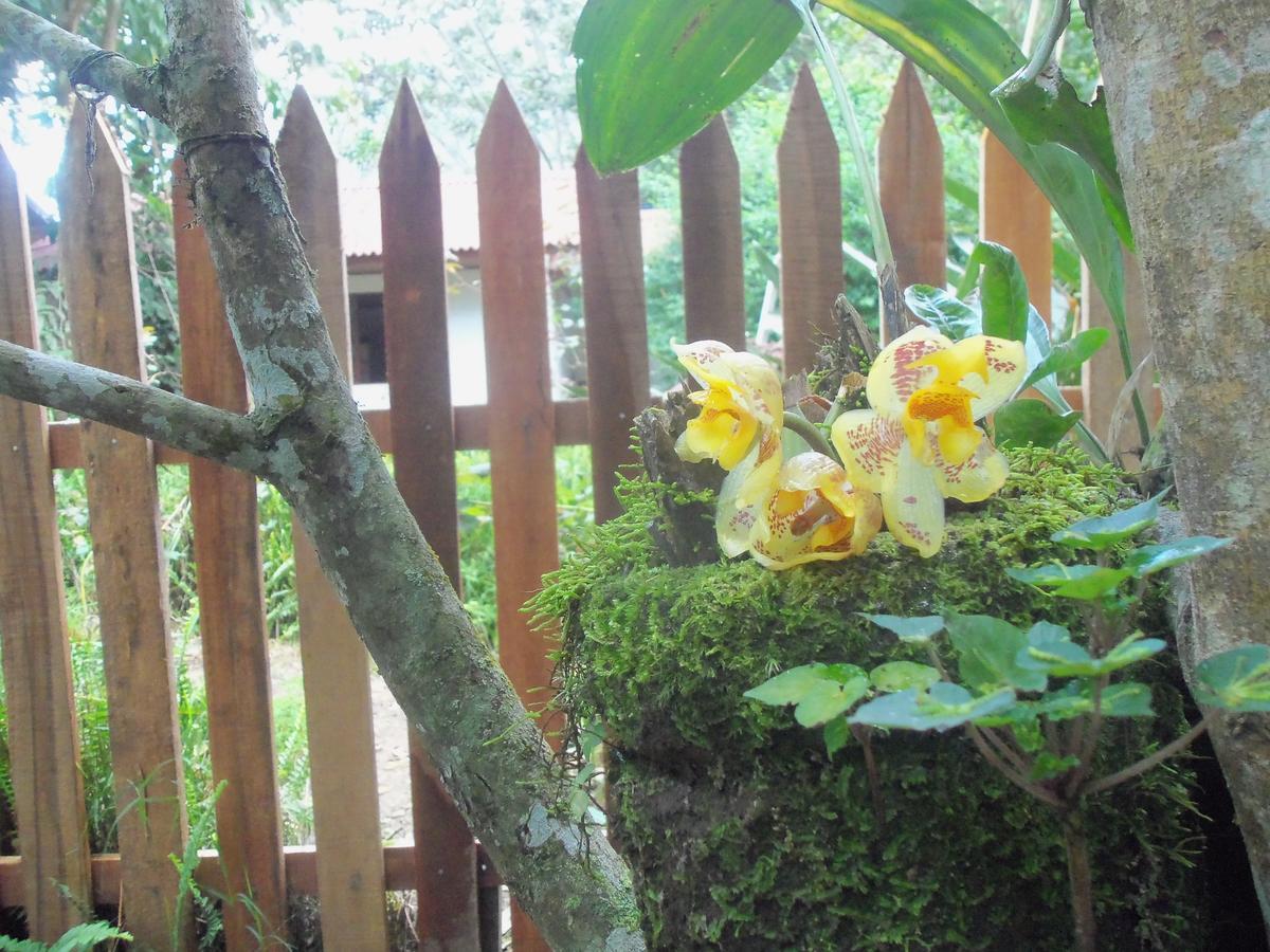 Refugio De Orquideas Villa Оксапампа Екстериор снимка